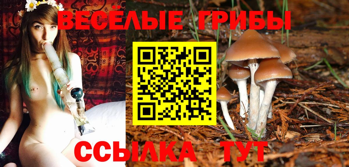 Галлюциногенные грибы Psilocybine cubensis Надым