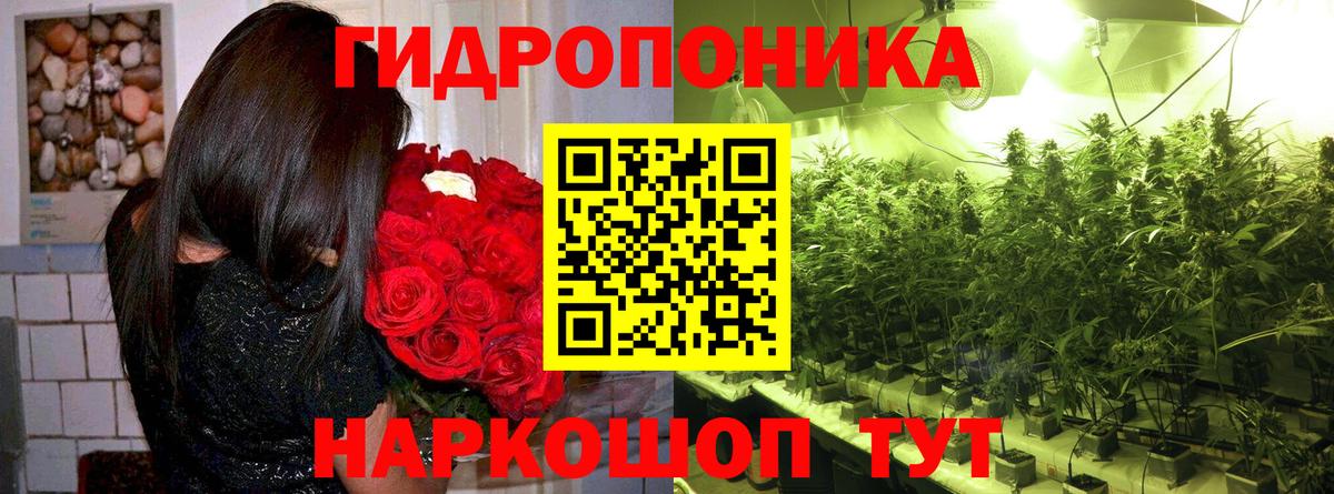 Бошки марихуана марихуана  Вход с VPN  МАРИХУАНА сатива  Марихуана Bruce Banner  Надым 